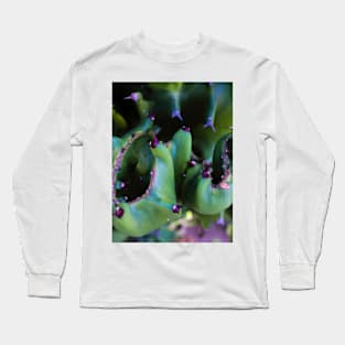 Abstract view from a cactus part Long Sleeve T-Shirt